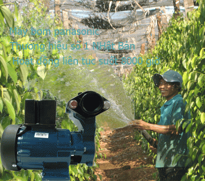 MÁY BƠM PANASONIC MÁY BƠM PANASONIC